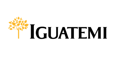 Logo IGUATEMI